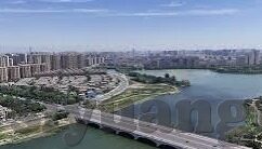 91大象传媒黄-91大象传媒，网络文化与道德边界的微妙平衡