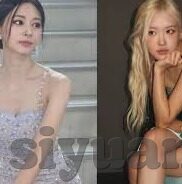 91麻豆成人免费视频-探索互联网文化，新时代的观赏与道德反思