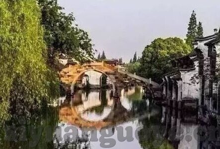 大象传媒影片名称-电影大象传媒，编织光影的温柔