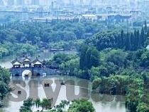 free麻豆av-探索免费麻豆AV现象及其影响下的社会思考
