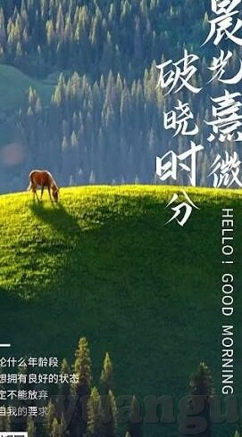 糖心app特色-糖心APP——独特魅力，勾勒品质生活的小确幸