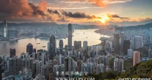 糖心视频官网入口-深度揭秘，糖心视频的全面洞察