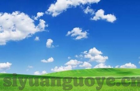 性盈盈影院中文字幕-探索成人娱乐的边界，性盈盈影院中文字幕的背后